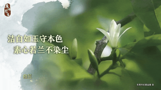 青少年篮球体能训练重点内容为_2